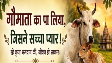 Photo of गौमाता का पा लिया, जिसने सच्चा प्यार