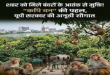Photo of बंदरों को आबादी से दूर रखने के लिए बनेगा ‘कपि वन’