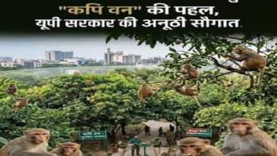 Photo of बंदरों को आबादी से दूर रखने के लिए बनेगा ‘कपि वन’