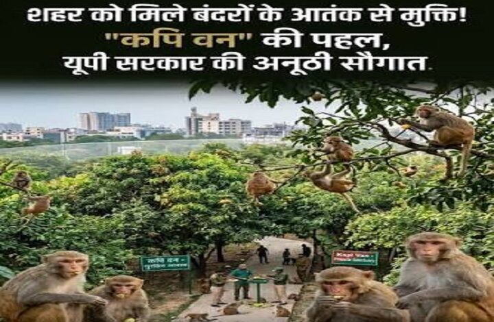 बंदरों को आबादी से दूर रखने के लिए बनेगा 'कपि वन'