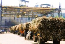 Photo of चीनी मिल संघ में भ्रष्टाचार:गन्ना मंत्री और एसीएस पर उठे सवाल