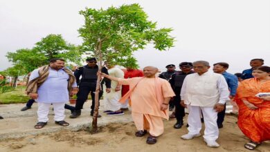 Photo of पौधरोपण महाभियान: धरती माता के प्रति कृतज्ञता का महायज्ञ