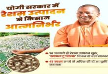 Photo of योगी सरकार में रेशम क्रांति! आत्मनिर्भरता और रोजगार का बना मजबूत आधार