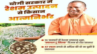 Photo of योगी सरकार में रेशम क्रांति! आत्मनिर्भरता और रोजगार का बना मजबूत आधार