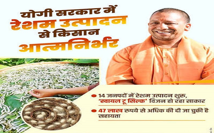 योगी सरकार में रेशम क्रांति! आत्मनिर्भरता और रोजगार का बना मजबूत आधार