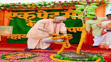 Photo of वनों से ही नदियां रहेंगी सदानीरा: मुख्यमंत्री