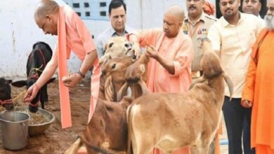 Photo of योगी सरकार की गो संरक्षण नीति से निकला गो सेवा के साथ रोजगार का नया रास्ता