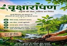Photo of वृक्षों के संरक्षण से ही सुरक्षित होगा मानव सभ्यता का भविष्य