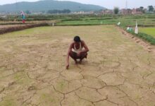Photo of खेती का भविष्य मिट्टी इसे बचाना हमारी जिम्मेदारी
