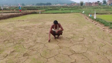 Photo of खेती का भविष्य मिट्टी इसे बचाना हमारी जिम्मेदारी