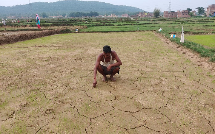 खेती का भविष्य मिट्टी इसे बचाना हमारी जिम्मेदारी