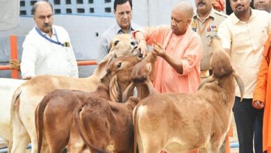 Photo of मुख्यमंत्री योगी के नेतृत्व में गोवंश संरक्षण को मिल रहा बढ़ावा