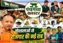 Photo of अब बेकार नहीं जाएगा गोबर…यूपी के सभी जिलों में खुलने जा रहे ‘पंचगव्य स्टोर’