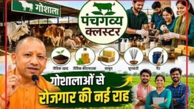 Photo of अब बेकार नहीं जाएगा गोबर…यूपी के सभी जिलों में खुलने जा रहे ‘पंचगव्य स्टोर’