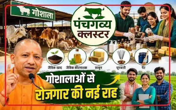 अब बेकार नहीं जाएगा गोबर...यूपी के सभी जिलों में खुलने जा रहे 'पंचगव्य स्टोर'