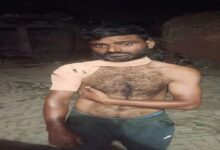 Photo of छुट्टा जानवर के हमले से किसान गंभीर रूप से घायल, बढ़ी दहशत