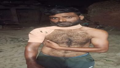 Photo of छुट्टा जानवर के हमले से किसान गंभीर रूप से घायल, बढ़ी दहशत