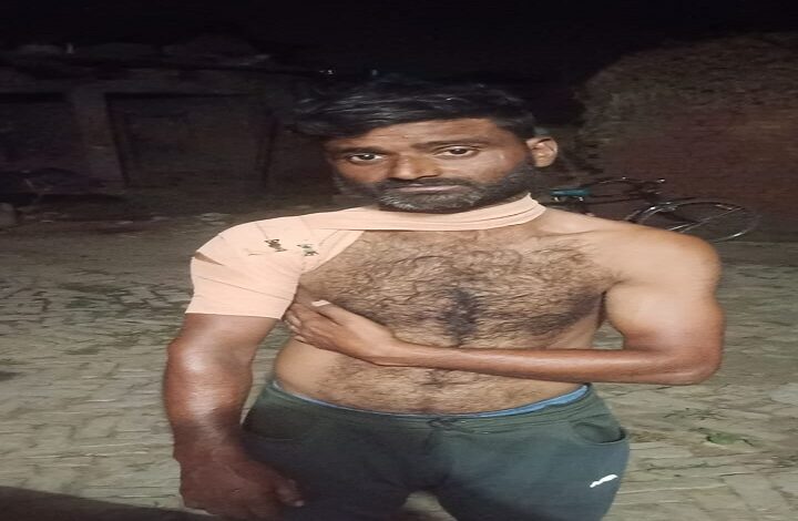 छुट्टा जानवर के हमले से किसान गंभीर रूप से घायल, बढ़ी दहशत
